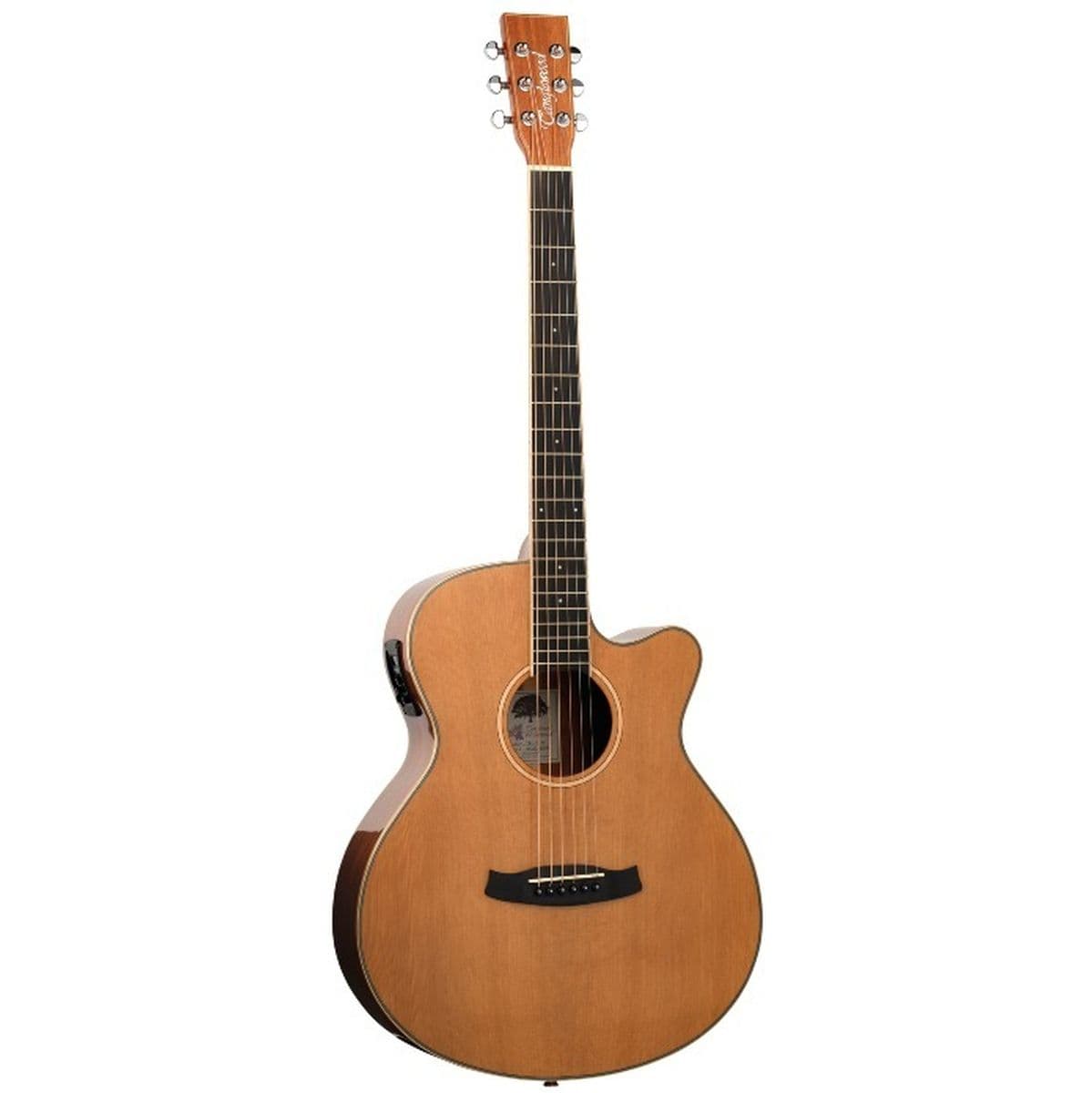 Winterleaf TW4 Ce Na — Tanglewood