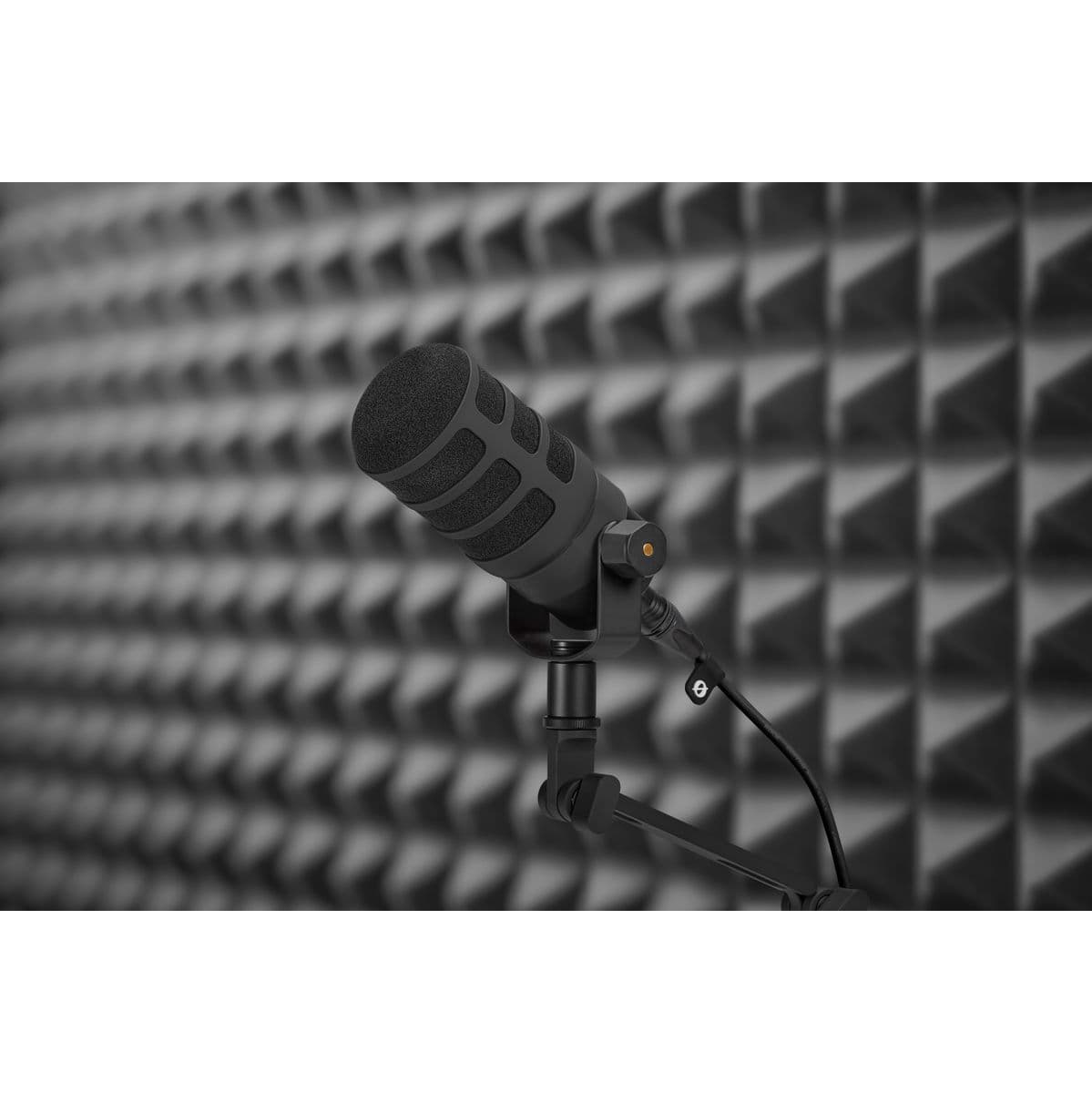 WS14 — RØDE