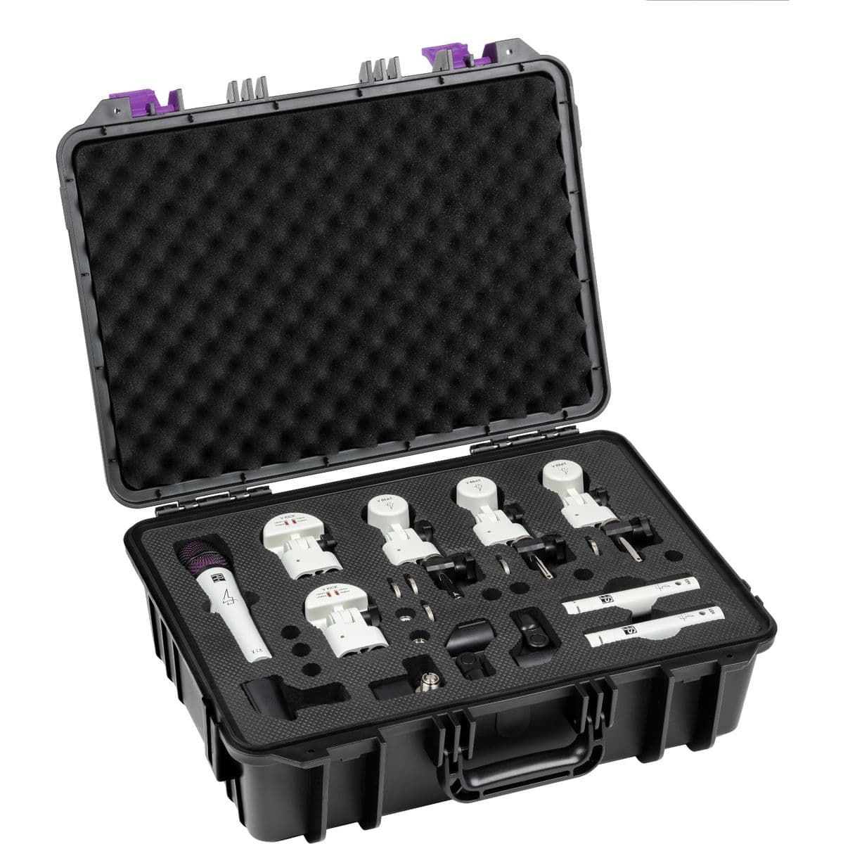 V Pack Eloy Casagrande — sE Electronics